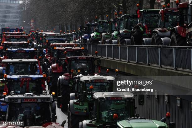 Farmers from Belgium's northern region of Flanders block roads with tractors during a protest against the regional government's nitrogen emissions...