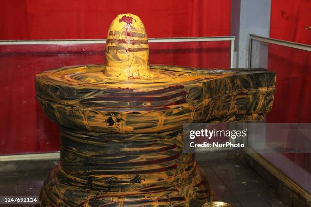 Shiva Lingam seen during the Maha Shivratri festival at a Tamil Hindu temple in Ontario, Canada, on February 13, 2018. Maha Shivaratri which means...