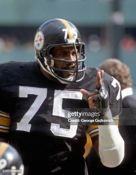 Defensive lineman Joe Greene of the Pittsburgh Steelers looks on from the sideline during a National Football League game at Three Rivers Stadium in...