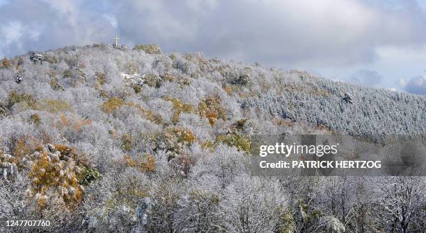 Des arbres d'un sommet vosgien sont recouverts d'une pellicule de neige, le 30 octobre 2008 près du village d'Uffholz dans le sud de l'Alsace. AFP...