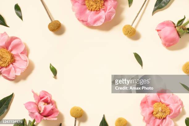 summer flower flat lay on yellow background. top view composition. - composition stock pictures, royalty-free photos & images