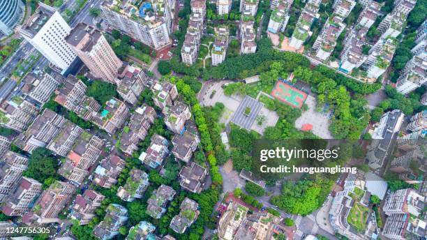 urban housing and greenery - green roof stock pictures, royalty-free photos & images