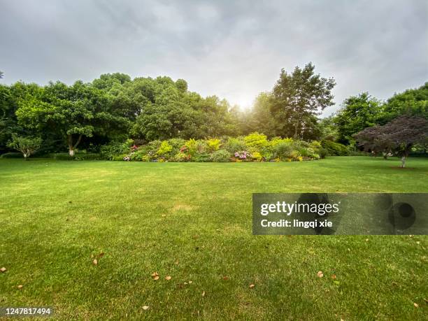 lawn in the city - yard grounds stock pictures, royalty-free photos & images