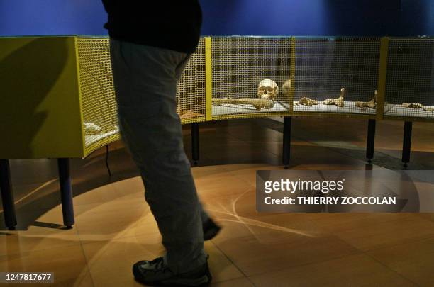 Coquette, travailleuse et soumise à son mari : telle était la femme celte". Des ossements sont présentés dans le cadre de l'exposition "Trésors de...