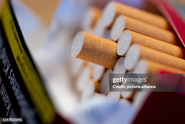 March 2023, Bavaria, Munich: An open pack of cigarettes lies on a table. Photo: Sven Hoppe/dpa