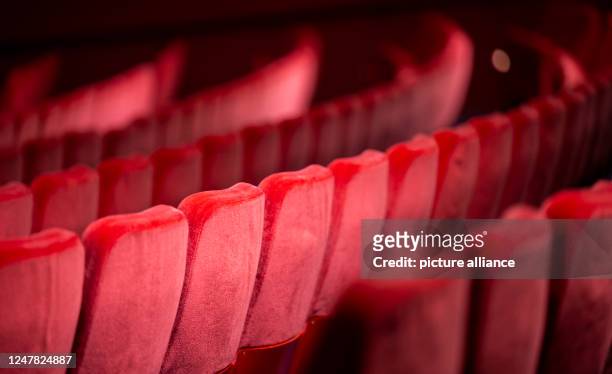 March 2023, Berlin: View of the rows of seats the auditorium in the Theater am Potsdamer Platz. Photo: Monika Skolimowska/dpa