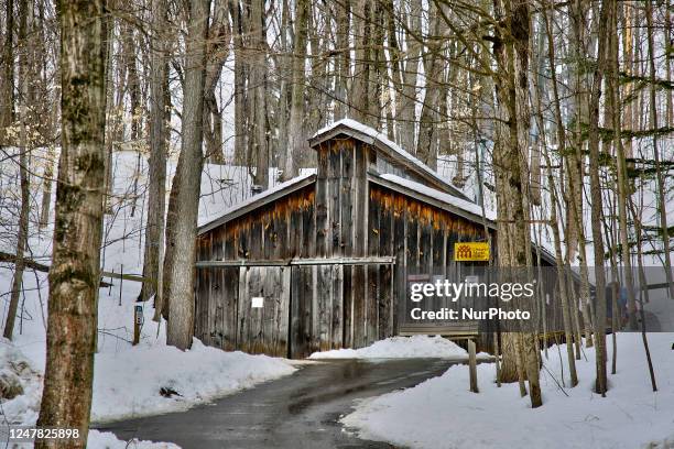 Sugar shack in Woodbridge, Ontario, Canada, on March 05, 2023. Maple syrup is only produced in North America.