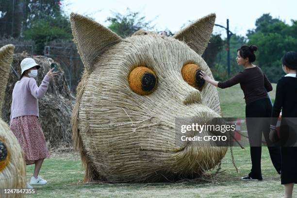 Visitors view cute animals made of straw at the giant Scarecrow Kingdom art exhibition in Nanning, South China's Guangxi Zhuang autonomous region,...