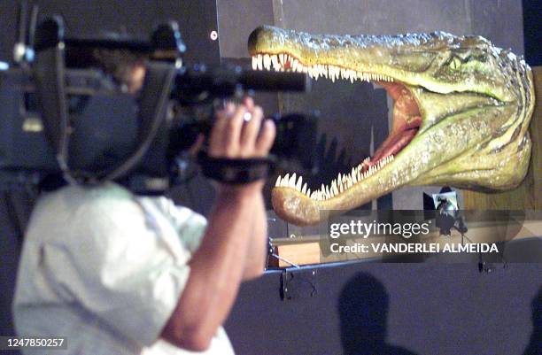 Fully reconstructed adult dinosaur head is photographed 31 October 2000 in Rio de Janeiro, Brazil. Part of the cranium and teeth of this species...