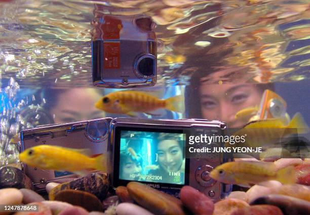 South Korean promoters look at Japanese carmera giant Olympus' new digital camera model, Mju-720, placed in an aquarium during a promotion event in...