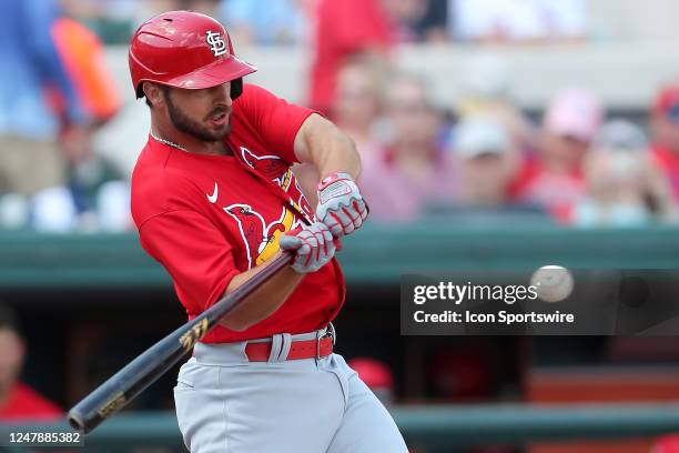 St. Louis Cardinals Infielder Paul DeJong at bat during the spring training game between the St. Louis Cardinals and the Detroit Tigers on March 07,...