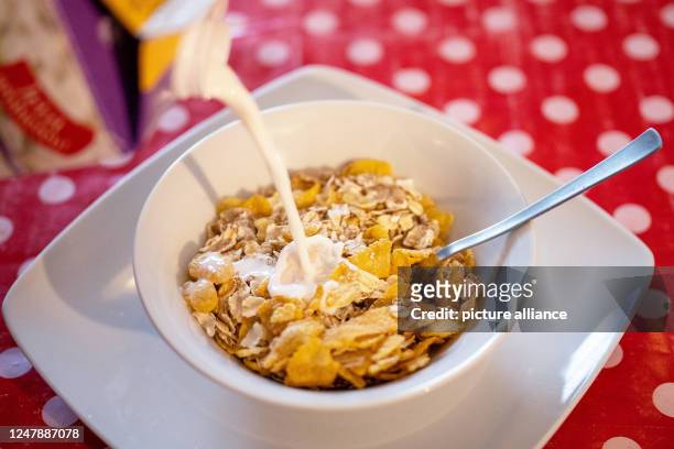 March 2023, Hesse, Gießen: Milk pours into a bowl of muesli. When asked about the "most important meal" of the day, most adults in Germany choose...