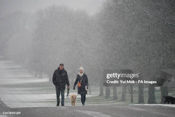 Dog walkers out in the early morning snow on the Long Walk at Windsor Castle, Berkshire, as parts of the UK wake up to snow and a yellow weather...