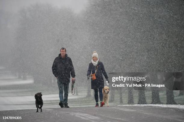 Dog walkers out in the early morning snow on the Long Walk at Windsor Castle, Berkshire, as parts of the UK wake up to snow and a yellow weather...