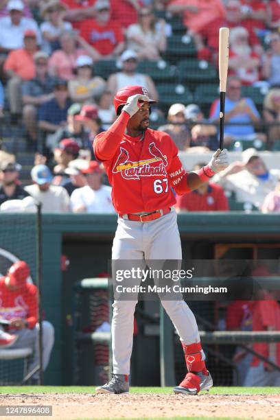 Jordan Walker of the St. Louis Cardinals bats during the Spring Training game against the Detroit Tigers at Publix Field at Joker Marchant Stadium on...
