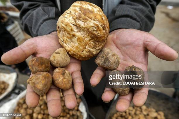 Merchant presents desert truffles at a stall in a market in the city of Hama in west-central Syria on March 6, 2023. - Between February and April,...