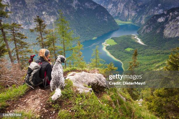 休息婦女與她的狗在巴伐利亞,貝希特斯加登 - 柯尼希 - berchtesgaden national park 個照片及圖片檔