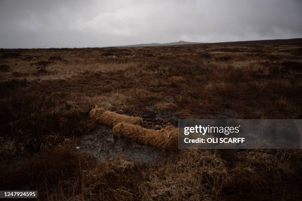 Photograph taken on February 27, 2023 shows biodegradable coir logs which have been placed to aid peatland restoration in Cumbria near the village of...