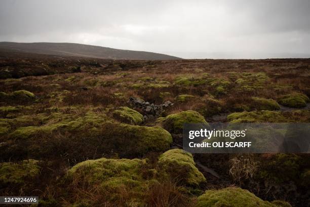 Photograph taken on February 27, 2023 shows a stone dam created by rural conservation specialists to aid peatland restoration in Cumbria near the...