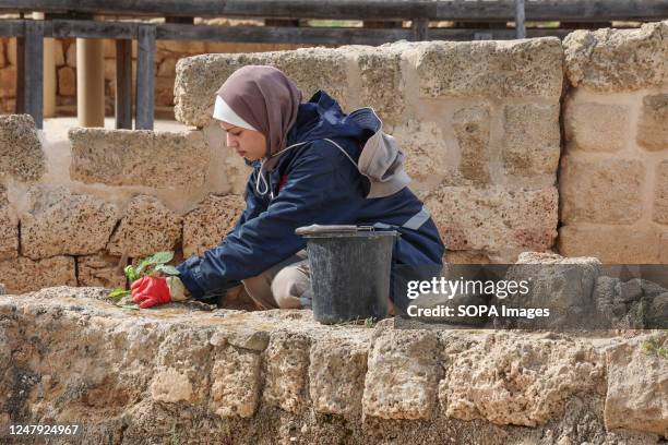 Female archaeologist works at Saint Hilarion monastery in Al-Zawayda town central Gaza strip. Female archaeologists specializing in archaeological...