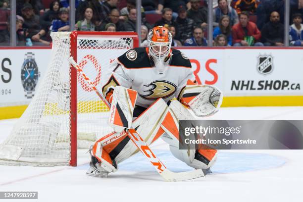 Anaheim Ducks goalie Lukas Dostal in net during their NHL game against the Vancouver Canucks at Rogers Arena on March 8, 2023 in Vancouver, British...