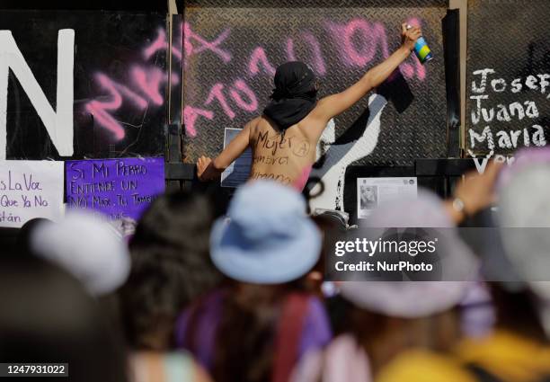 Woman paints metal fences as a group of women demonstrate outside the National Palace in Mexico City on the occasion of International Women's Day to...