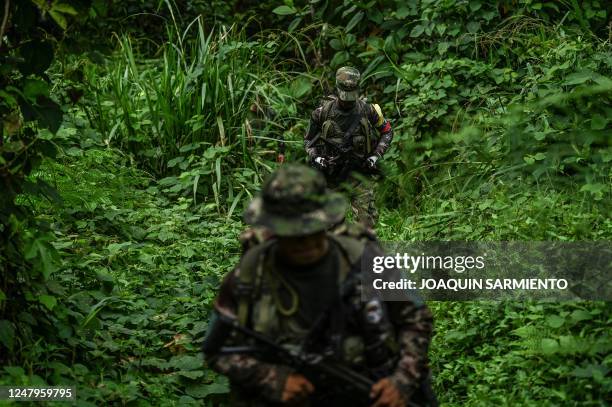 Dissident guerrilla fighters from the FARC-EP Rafael Aguilera Front 30 walk in the jungle near a camp in the Colombian department of Narino, on March...