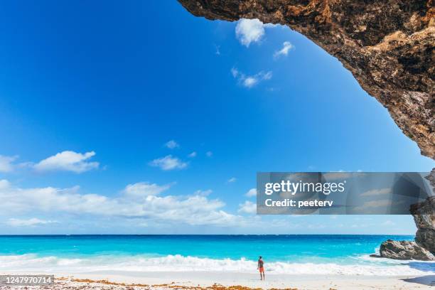 looking at atlantic ocean - barbados - barbados beach stock pictures, royalty-free photos & images