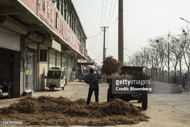 Worker loads hay on the back of a vehicle in the village of Chenghe, Jiangsu province, China, on Tuesday, Jan. 31, 2023. After imposing three years...