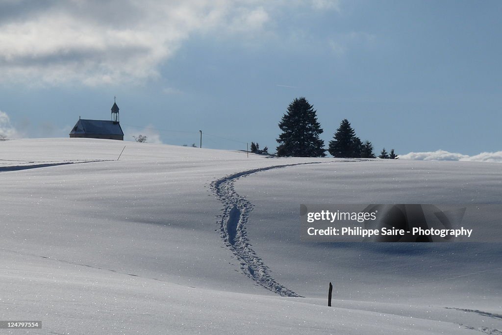 Snow landscape