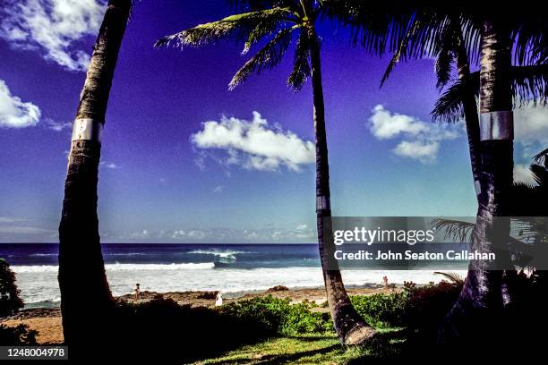 usa, hawaii, winter surfing at rocky point - haleiwa 個照片及圖片檔