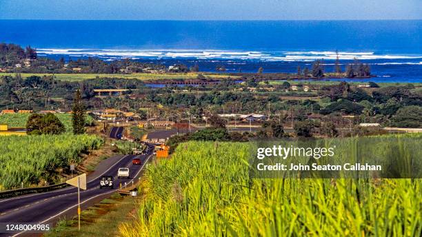 usa, hawaii, kamehameha highway - haleiwa fotografías e imágenes de stock