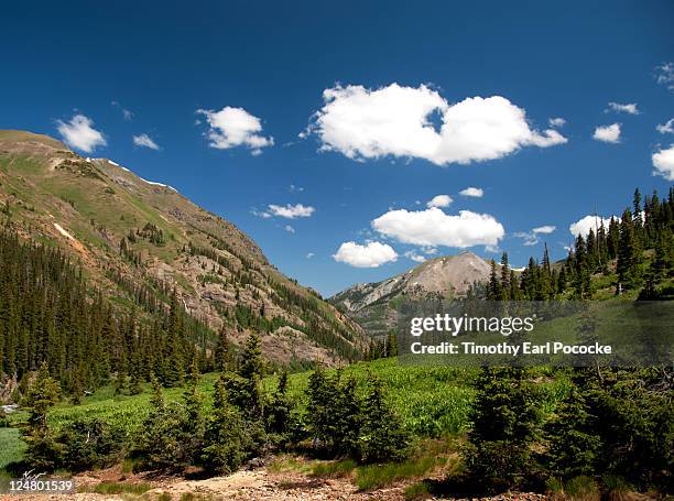 lower engineer pass - uncompahgre national forest stock pictures, royalty-free photos & images