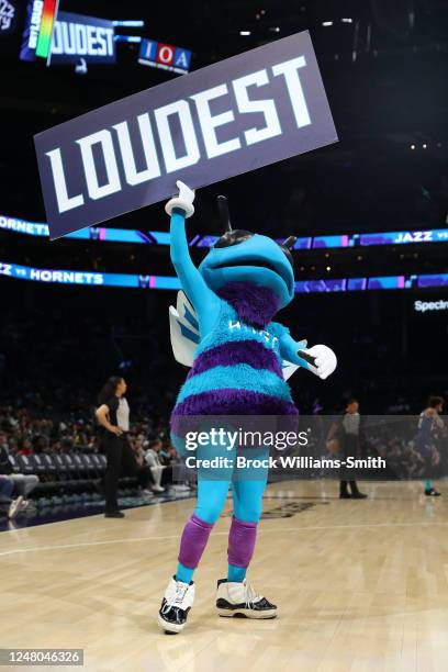 Mascot Hugo the Hornet of the Charlotte Hornets looks on during the game against the Utah Jazz on March 11, 2023 at Spectrum Center in Charlotte,...