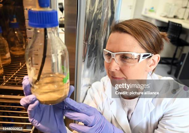 February 2023, Baden-Württemberg, Bühl: Miriam Weber, marine biologist and managing director of the company Hydra Marine Sciences GmbH, checks an...