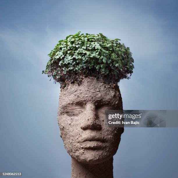 mother earth - digital composite stock pictures, royalty-free photos & images