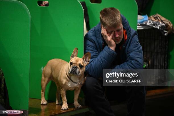 Man sits in a pen next to a French Bulldog on the final day of the Crufts dog show at the National Exhibition Centre in Birmingham, central England,...