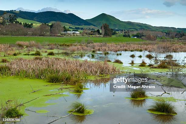 Masterton 1,171 Masterton New Zealand Stock Photos, High-Res Pictures, and Images ...