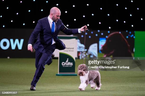 Orca, a Lagotto Romagnolo, winner of the Gundog group title, seen with handler Javier Gonzalez Mendikote, owned by Sabina Zdunić Šinković and Ante...
