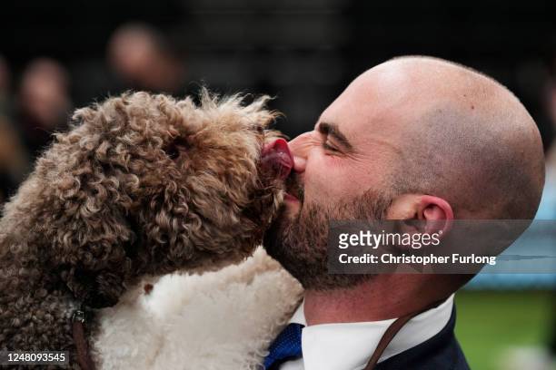 Orca, a Lagotto Romagnolo, winner of the Gundog group title, seen with handler Javier Gonzalez Mendikote, owned by Sabina Zdunić Šinković and Ante...