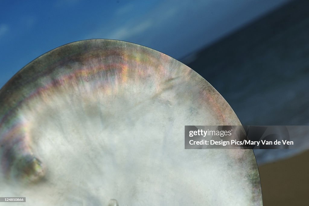 Detail view of polished Tahitian oyster shell showing opalescence, ocean, sky and sand at dusk.