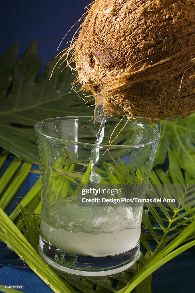 A coconut emptying it' || chr(39) || 's juice into a cocktail glass.