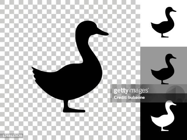 duck icon on checkerboard transparent background - ducks stock illustrations