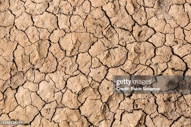 full frame shot of dry cracked and dried mud texture background. - full height stock pictures, royalty-free photos & images