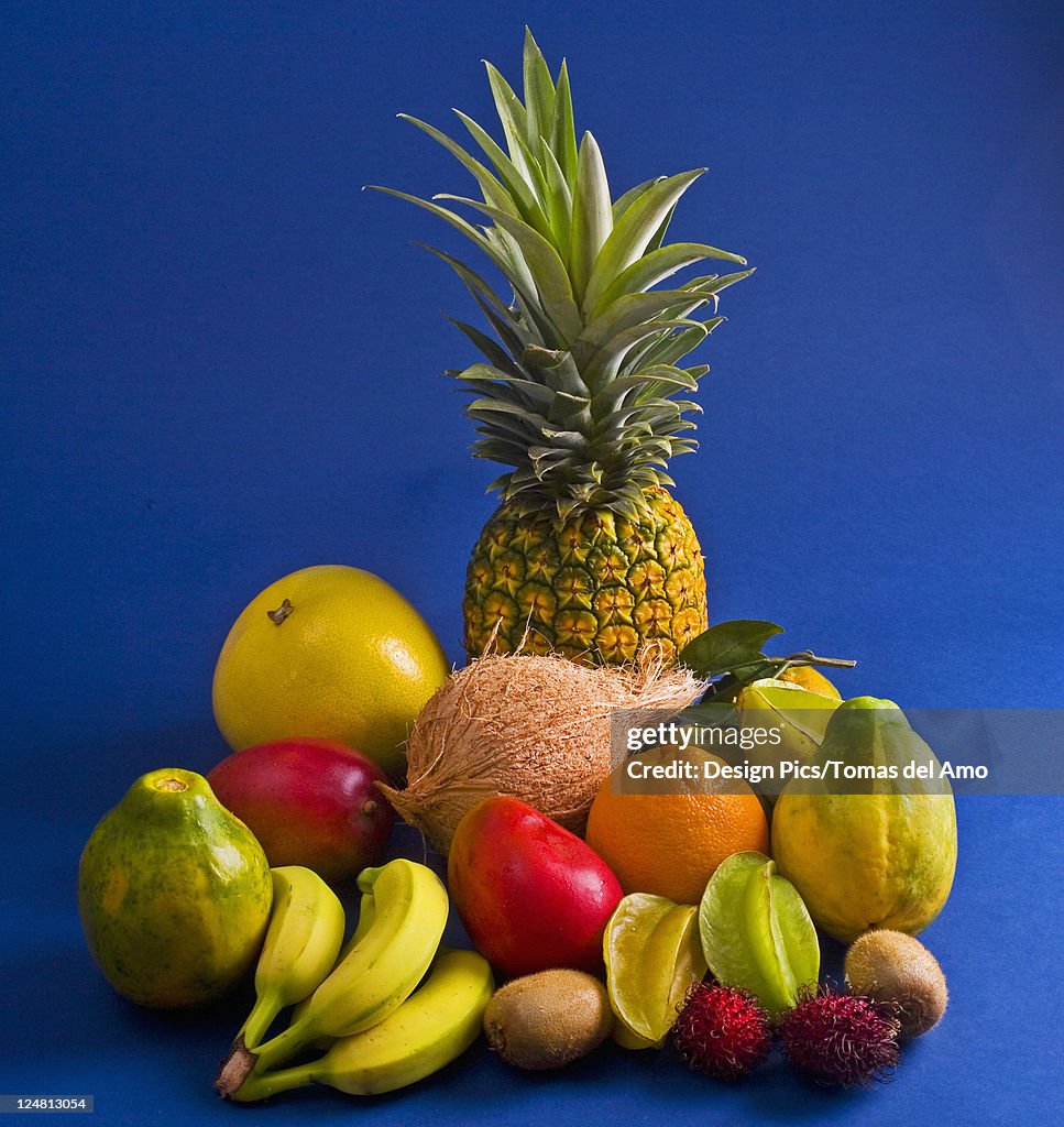 Studio shot of a variety of tropical fruit.