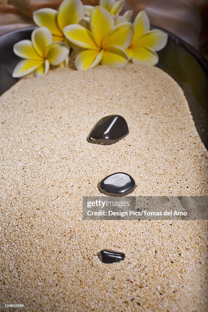 Spa elements, polished black rocks and plumerias in a bowl filled with sand.