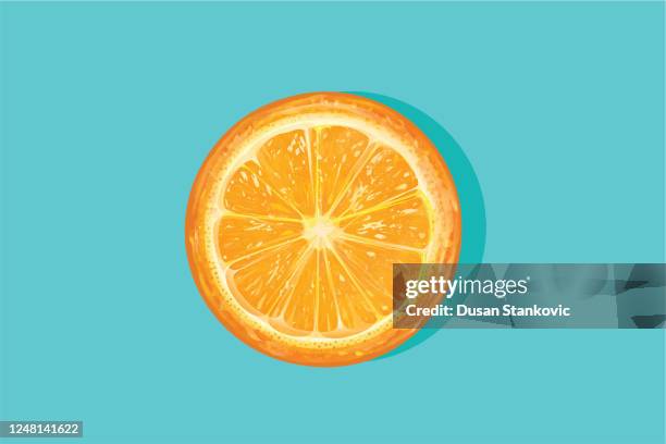 bildbanksillustrationer, clip art samt tecknat material och ikoner med orange halverad - apelsin