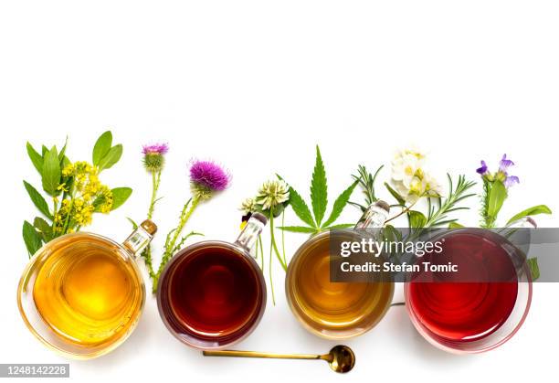 various colorful herbal tea collection in glass cups on white background - milk thistle stock pictures, royalty-free photos & images