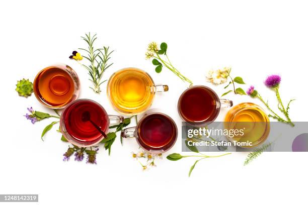 various colorful herbal tea collection in glass cups on white background - milk thistle stock pictures, royalty-free photos & images