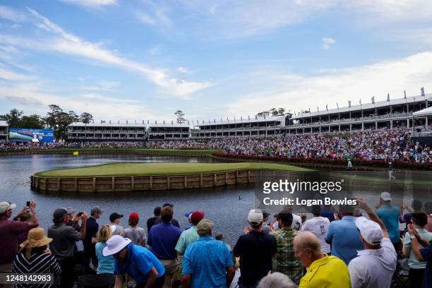 Scottie Scheffler and Min Woo Lee of Australia walk on the 17th green during the final round of THE PLAYERS Championship at Stadium Course at TPC...